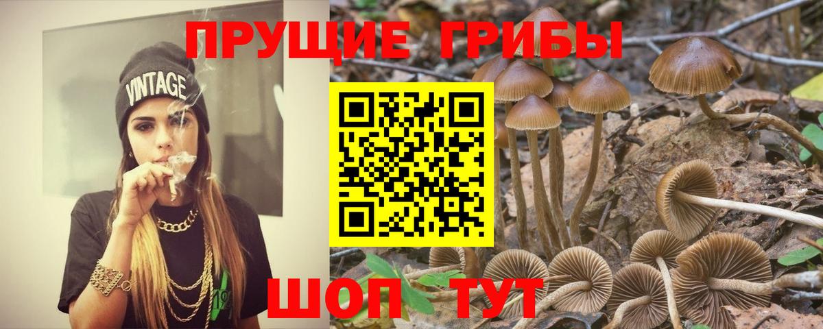 Нерюнгри  Галлюциногенные грибы мухоморы  Вход с VPN 